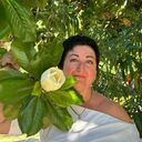 ,   , 53 ,   c 