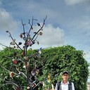  ,   , 51 ,     , c 