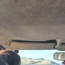 ���������� ������ ��������, ���� ������� ����, 37 ���, ������������ ��� ����� � ���������, c�������� ���������