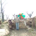 ���������� �������, ���� ������� ������, 49 ���, ������������ ��� c�������� ���������