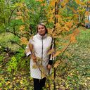 ���������� �����, ���� ������� �����, 62 ����, ������������ ��� ����� � ���������, c�������� ���������, ���������