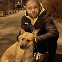 ���������� ����, ���� ������� ����, 33 ����, ������������ ��� ������, ����� � ���������