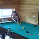  ,   , 37 ,   ,   , c 