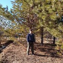 ���������� ������, ���� ������� ���������, 40 ���, ������������ ��� ������, ����� � ���������