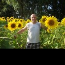  ,   , 58 ,   ,   , 