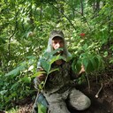 ���������� ���������, ���� ������� �������, 38 ���, ������������ ��� ������, ����� � ���������