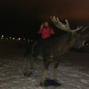 ���������� �����, ���� ������� �������, 33 ����, ������������ ��� ������, ����� � ���������, c�������� ���������