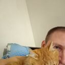 ���������� ��������, ���� ������� ����, 39 ���, ������������ ��� c�������� ���������