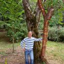 ���������� �����, ���� ������� ������, 54 ����, ������������ ��� ������, ����� � ���������, c�������� ���������