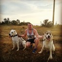 ���������� �����, ���� ������� �������, 38 ���, ������������ ��� ������, ����� � ���������, c�������� ���������