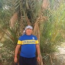  ,   , 55 ,   c 