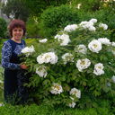 ���������� ������ ���, ���� ������� ������, 56 ���, ������������ ��� ������, ����� � ���������, c�������� ���������