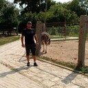  ,   , 42 ,   ,   