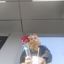 ���������� ������, ���� ������� ��������, 21 ���, ������������ ��� ������, ����� � ���������