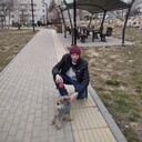 ���������� �����������, ���� ������� ������, 47 ���, ������������ ��� c�������� ���������, ���������