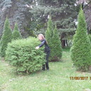 ���������� ������ ��������, ���� ������� �����, 45 ���, ������������ ��� ����� � ���������, c�������� ���������