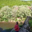 ���������� ���������, ���� ������� �����, 44 ����, ������������ ��� ������, ����� � ���������, c�������� ���������