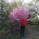 ���������� ��������, ���� ������� ����������, 38 ���, ������������ ��� ������, ����� � ���������, c�������� ���������