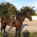 ���������� ������, ���� ������� �����, 42 ����, ������������ ��� ������, ����� � ���������, c�������� ���������