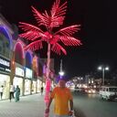 ���������� �����, ���� ������� ����, 51 ���, ������������ ��� ������, ����� � ���������