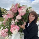 ���������� ����������, ���� ������� ���������, 38 ���, ������������ ��� ������, ����� � ���������, c�������� ���������