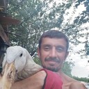 ���������� ���������, ���� ������� ����, 41 ���, ������������ ��� ������, ����� � ���������, ���������