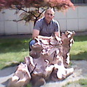 ���������� ��������, ���� ������� ����, 35 ���, ������������ ��� ������, ����� � ���������, c�������� ���������