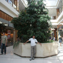 ���������� ������, ���� ������� �����, 35 ���, ������������ ��� ������, ����� � ���������, c�������� ���������