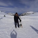 ���������� ���������, ���� ������� �������, 36 ���, ������������ ��� ������, ����� � ���������, c�������� ���������