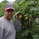  ,   , 56 ,   ,   , c 