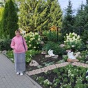  ,   , 60 ,   c 