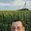  ,   , 41 ,     , c , 