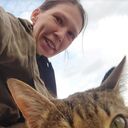  ,   Lincufly, 39 ,     , c 