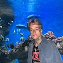 ���������� ������, ���� ������� �������, 23 ����, ������������ ��� ������, ���������