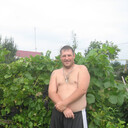  -,   , 51 ,   ,   , c 