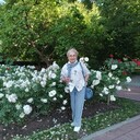 ���������� �����������, ���� ������� �����, 78 ���, ������������ ��� ����� � ���������, c�������� ���������