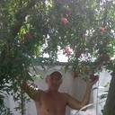 ���������� �������, ���� ������� �������, 50 ���, ������������ ��� ������, ����� � ���������, c�������� ���������