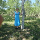  ,   , 61 ,  