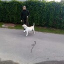 ���������� �����, ���� ������� �������, 35 ���, ������������ ��� ������, ����� � ���������, c�������� ���������