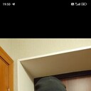  ,   , 46 ,   ,   , c , 