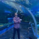 ���������� ����, ���� ������� ������, 36 ���, ������������ ��� ������, ����� � ���������, c�������� ���������