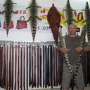 ���������� ������, ���� ������� �������, 61 ���, ������������ ��� ������, ����� � ���������, c�������� ���������