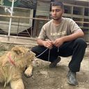 ���������� �����������, ���� ����� ����, 21 ���, ������������ ��� ������, ����� � ���������