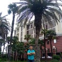  ,   , 51 ,     , c 