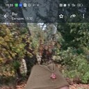  ,   , 49 ,     , c 