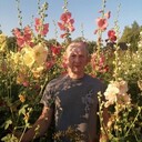 ���������� ��������, ���� ������� ����, 63 ����, ������������ ��� ������, ����� � ���������