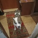 ���������� ���������, ���� ������� ��������, 30 ���, ������������ ��� ������, ����� � ���������, ���������