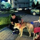  ,   , 39 ,   
