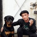  ,   Vi, 38 ,   ,   , 