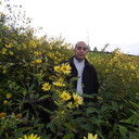  Frankfurt am Main,   Ali, 56 ,   ,   